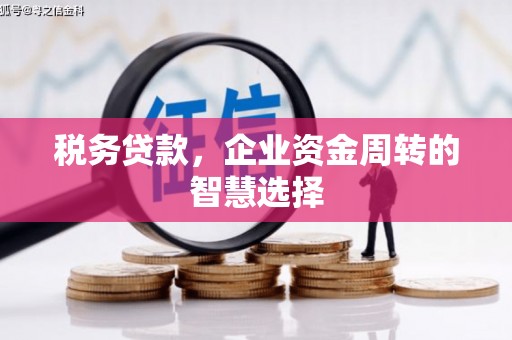 镇平税务贷款，企业资金周转的智慧选择