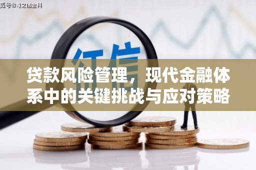 镇平贷款风险管理，现代金融体系中的关键挑战与应对策略