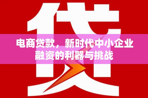 镇平电商贷款，新时代中小企业融资的利器与挑战