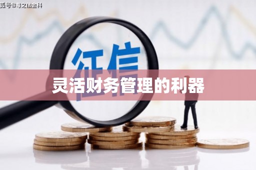 镇平灵活财务管理的利器