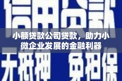 镇平小额贷款公司贷款，助力小微企业发展的金融利器