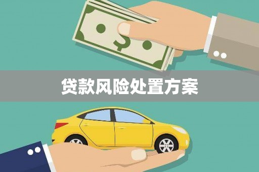 镇平贷款风险处置方案