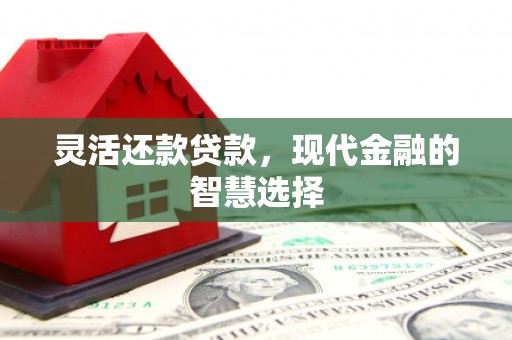 镇平灵活还款贷款，现代金融的智慧选择