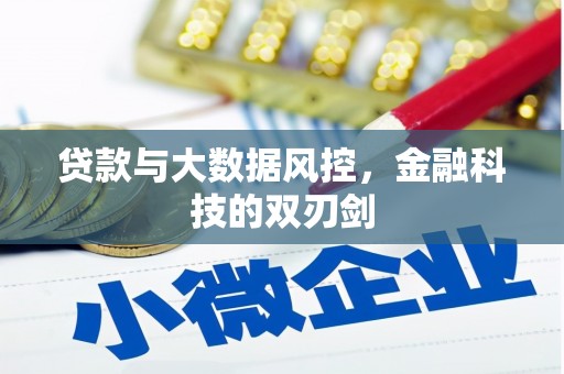 镇平贷款与大数据风控，金融科技的双刃剑