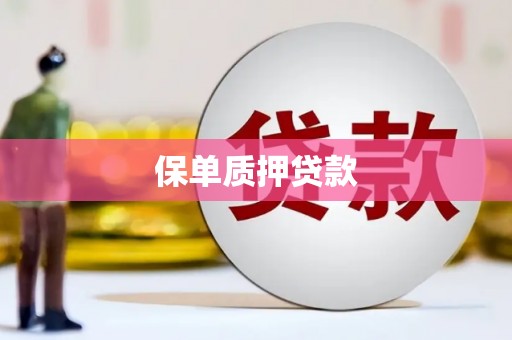 镇平保单质押贷款