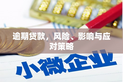 镇平逾期贷款，风险、影响与应对策略