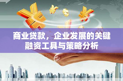 镇平商业贷款，企业发展的关键融资工具与策略分析