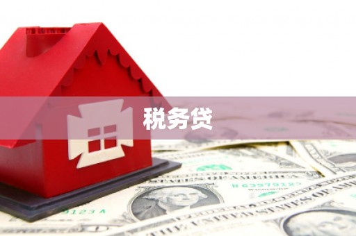 镇平税务贷