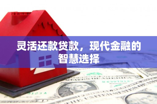 镇平灵活还款贷款，现代金融的智慧选择