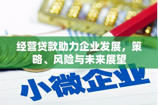 镇平经营贷款助力企业发展，策略、风险与未来展望