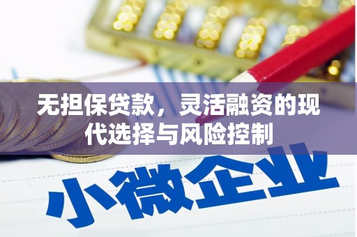 镇平无担保贷款，灵活融资的现代选择与风险控制