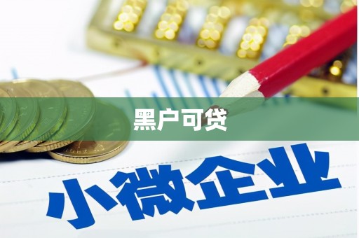 镇平黑户可贷