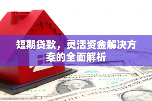 镇平短期贷款，灵活资金解决方案的全面解析