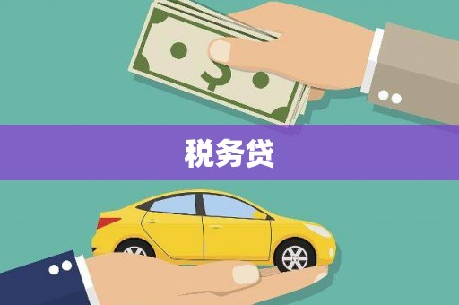 镇平税务贷