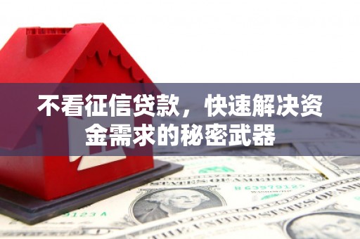 镇平不看征信贷款，快速解决资金需求的秘密武器