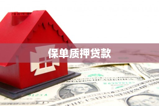 镇平保单质押贷款