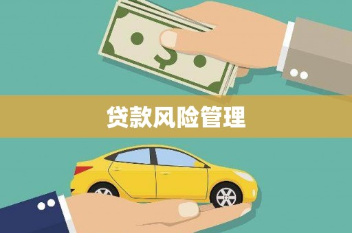 镇平贷款风险管理