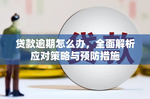 镇平贷款逾期怎么办，全面解析应对策略与预防措施