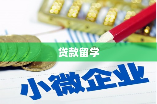 镇平贷款留学