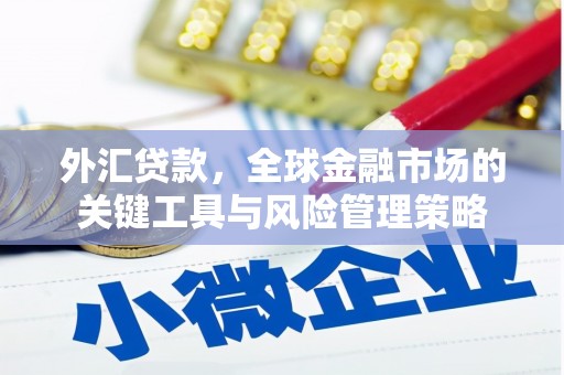 镇平外汇贷款，全球金融市场的关键工具与风险管理策略