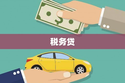 镇平税务贷