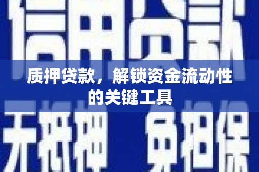 镇平质押贷款，解锁资金流动性的关键工具