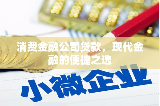 镇平消费金融公司贷款，现代金融的便捷之选