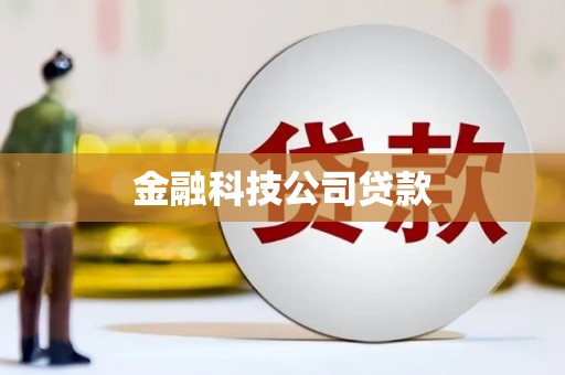 镇平金融科技公司贷款