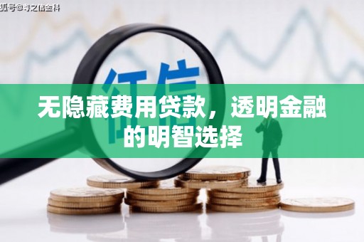 镇平无隐藏费用贷款，透明金融的明智选择