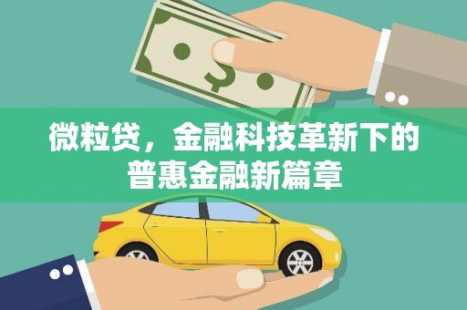 镇平微粒贷，金融科技革新下的普惠金融新篇章