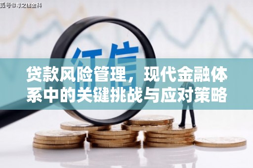 镇平贷款风险管理，现代金融体系中的关键挑战与应对策略