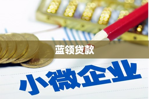 镇平蓝领贷款
