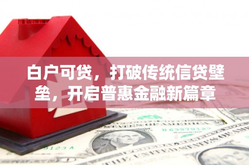 镇平白户可贷，打破传统信贷壁垒，开启普惠金融新篇章