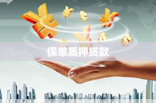 镇平保单质押贷款