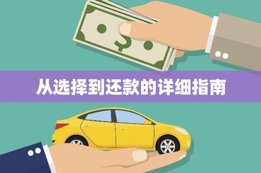 镇平从选择到还款的详细指南