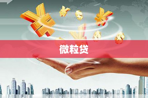 镇平微粒贷