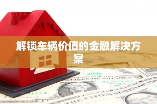 镇平解锁车辆价值的金融解决方案