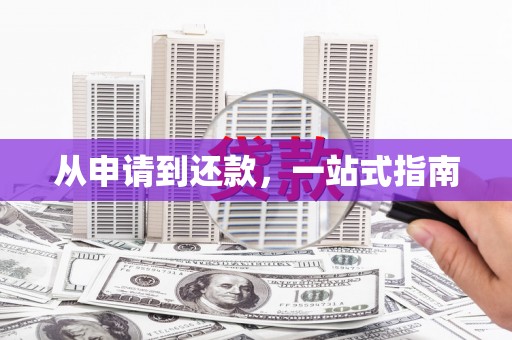 镇平从申请到还款，一站式指南