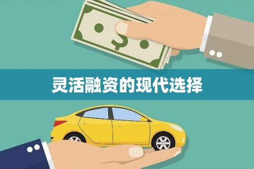 镇平灵活融资的现代选择