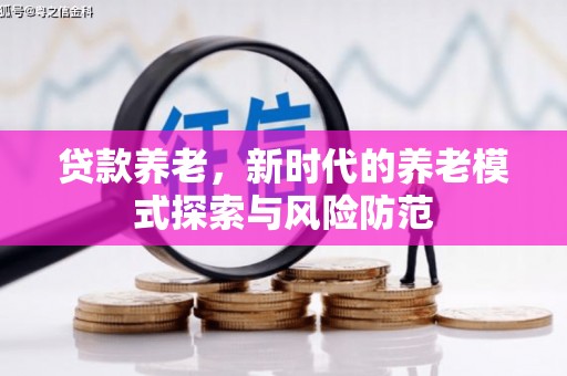 镇平贷款养老，新时代的养老模式探索与风险防范