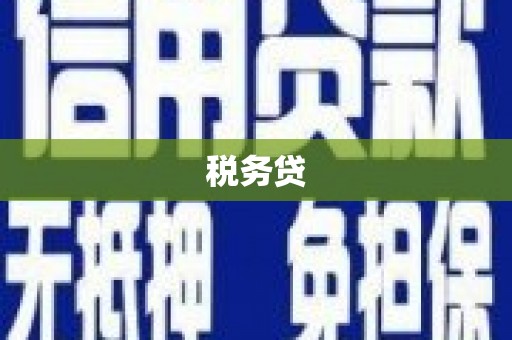 镇平税务贷