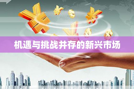 镇平机遇与挑战并存的新兴市场