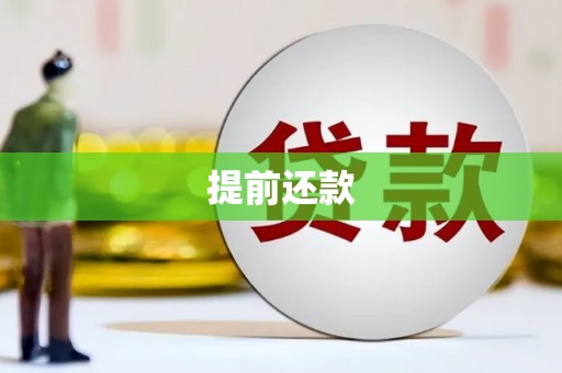 镇平提前还款