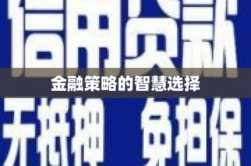 镇平金融策略的智慧选择