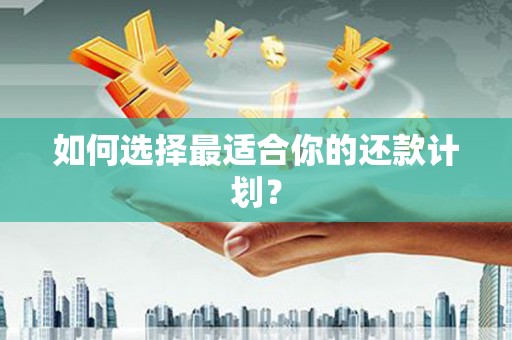 镇平如何选择最适合你的还款计划？