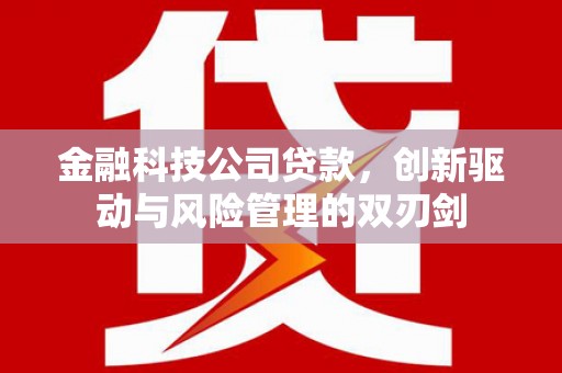 镇平金融科技公司贷款，创新驱动与风险管理的双刃剑